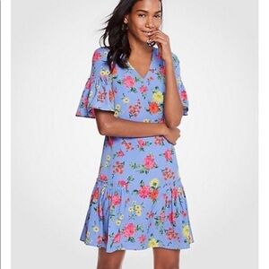 Ann Taylor Shift Dress Blue Floral Flounce Size 2